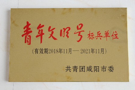 華浩軒公司榮獲2018年度咸陽(yáng)市“青年文明號(hào)標(biāo)兵單位”榮譽(yù)稱...